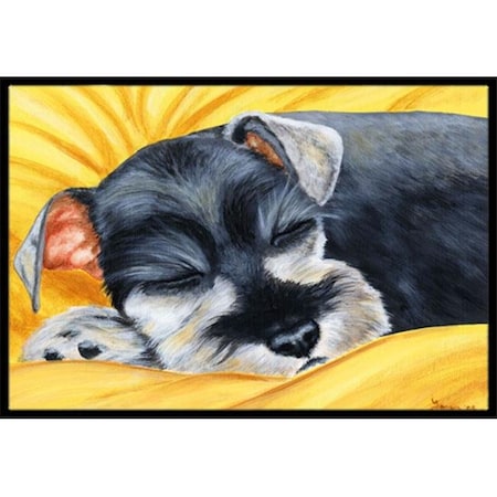 Carolines Treasures AMB1161MAT Snoozing Schnauzer Indoor or Outdoor Mat; 18 x 27 AMB1161MAT